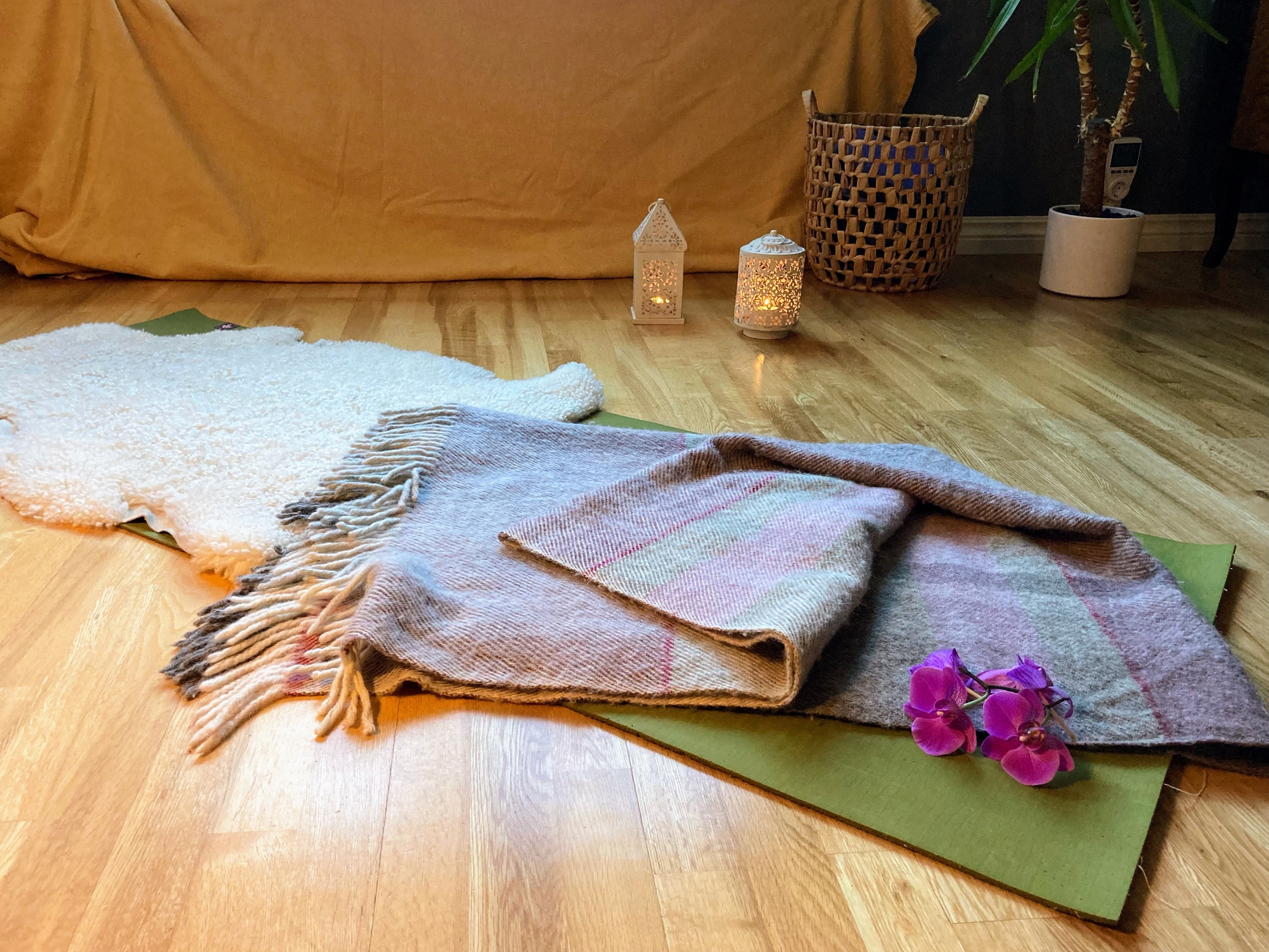 silhouette photography of woman doing yoga